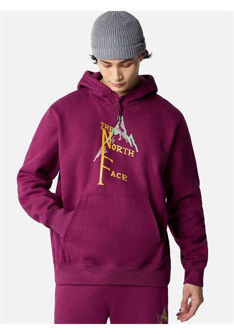 Sweatshirt heavyweith The North Face THE NORTH FACE |  sweatshirts | NF0A84GKLI71